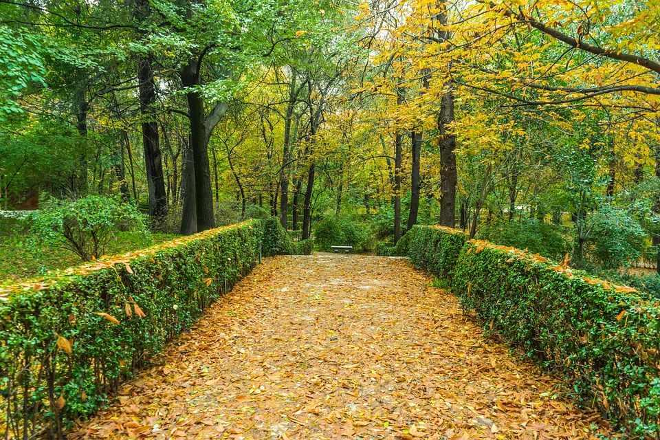 The magnificent Troodos Botanical Garden «Α.G. Leventis» - It is located in the heart of the Troodos National Forest Park