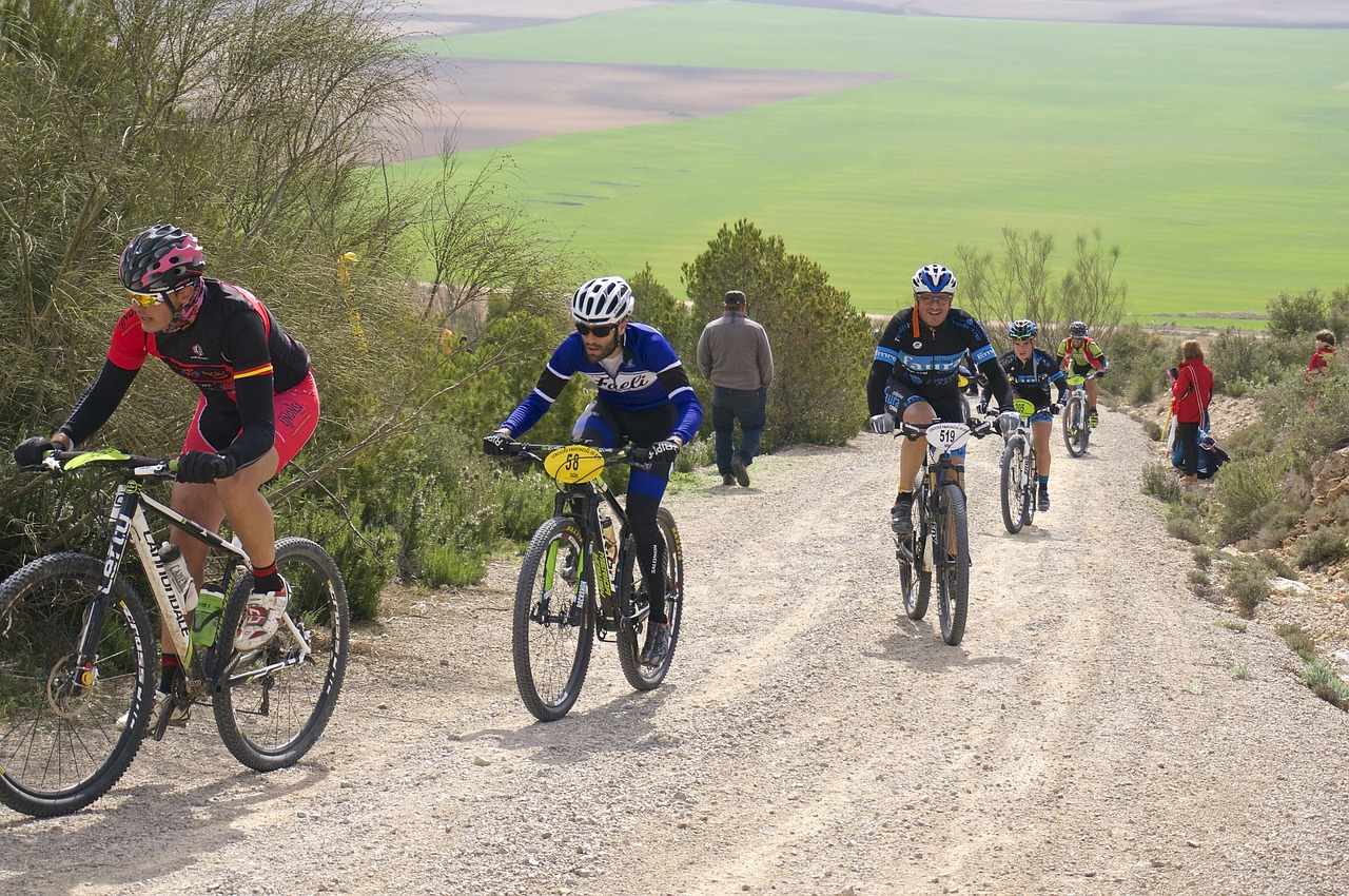 Bicycle road in Nicosia?