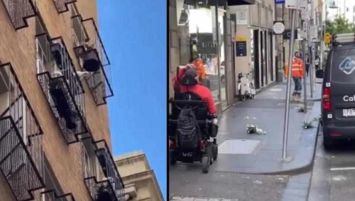 Παπαγάλος σκορπά… τρόμο σε γειτονιά