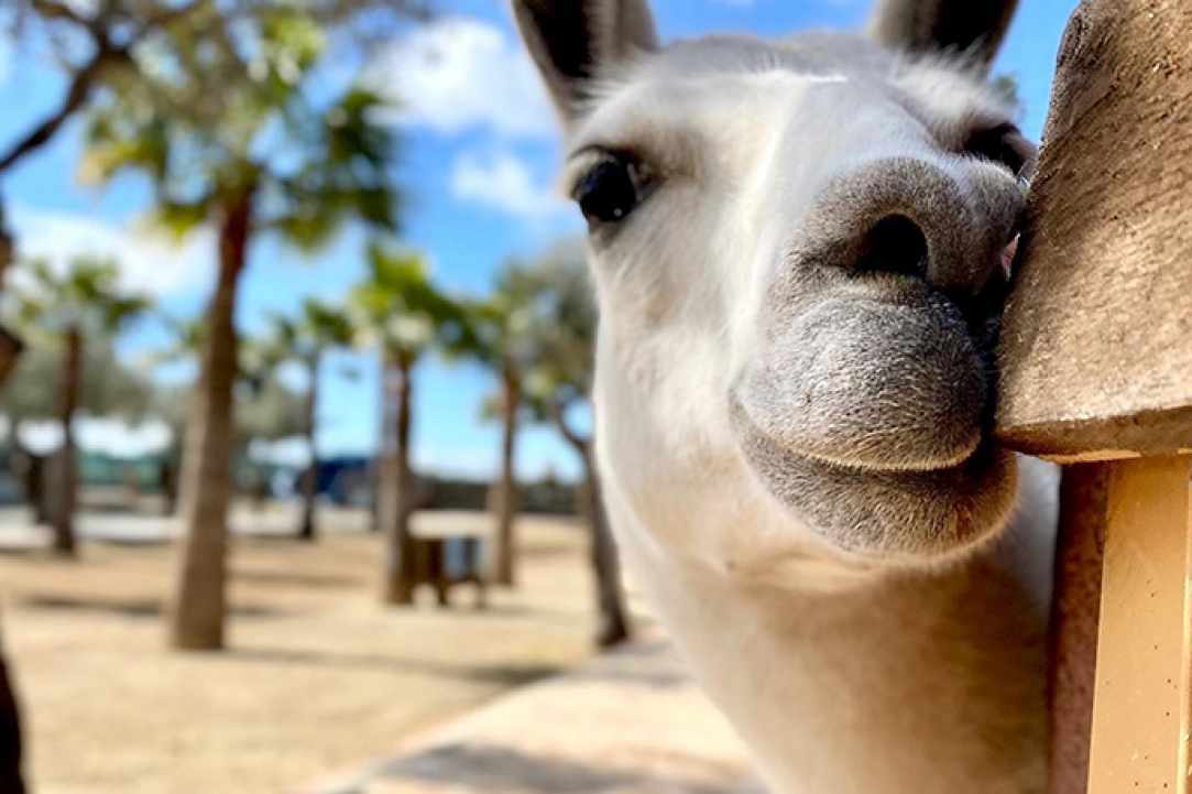 Τι κάνουμε την 1η Οκτωβρίου;