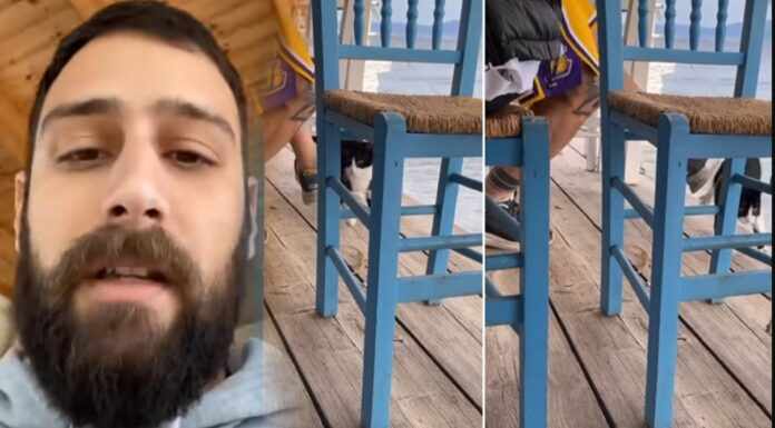 Άντρας δελέασε με φαγητό γάτα και την κλώτσησε στη θάλασσα