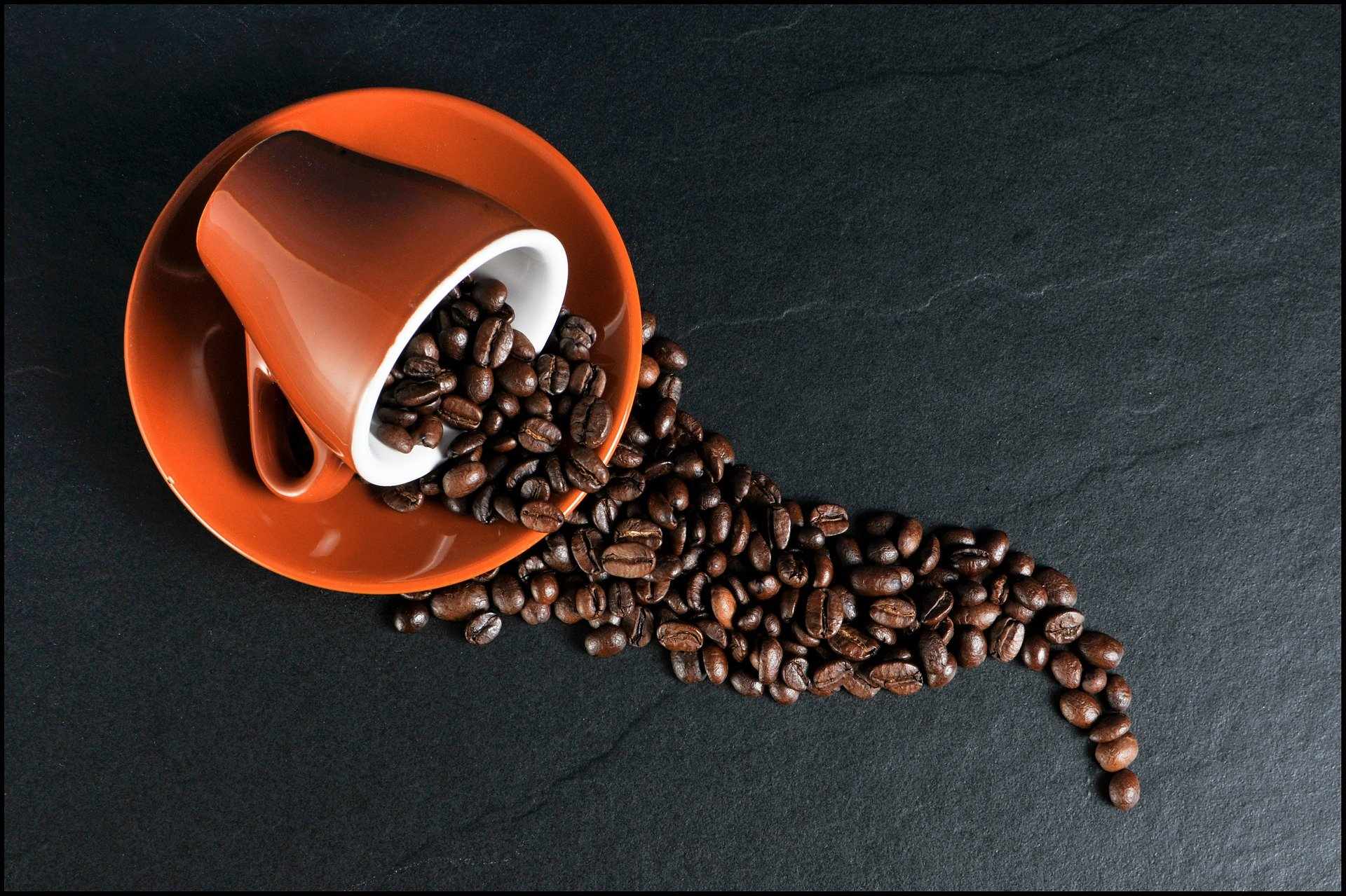 Δωρεάν καφές από το Coffee Bear στη Λεμεσό