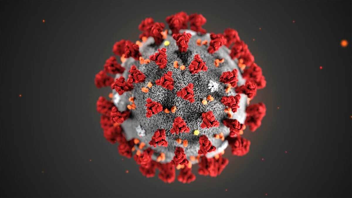 What can China's response to Coronavirus teach us?