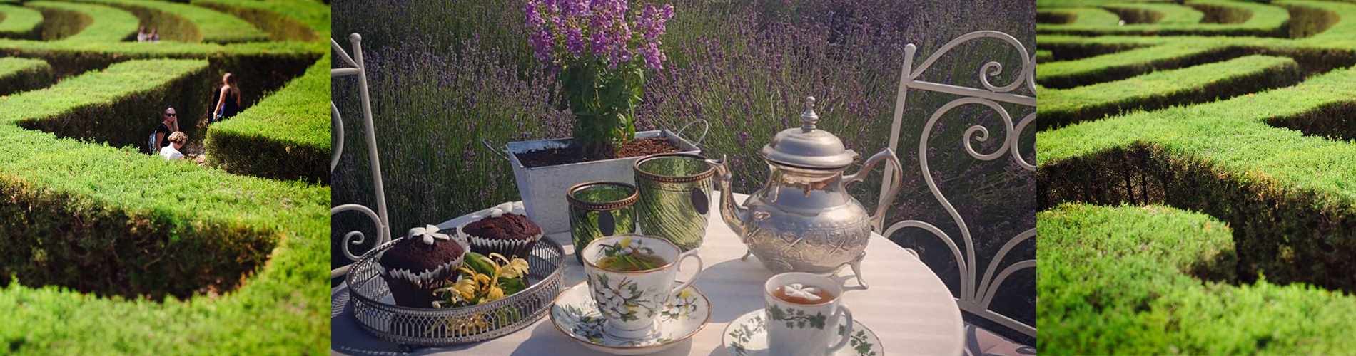 Βοτανικό Πάρκο και Λαβύρινθος Cyherbia