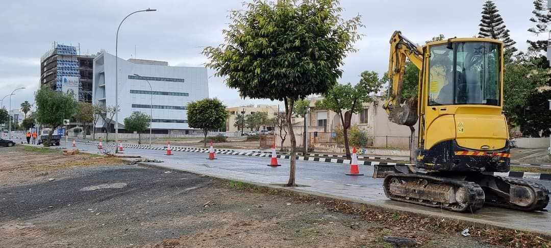 Άρχισε η δεντροφύτευση στις κεντρικές λεωφόρους της Λεμεσού.