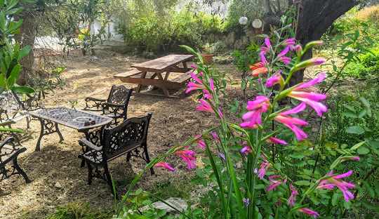 Θερινός κινηματογράφος στο χωριό