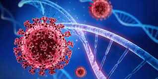 Κορωνοϊός: Η υποπαραλλαγή «κένταυρος» της Όμικρον εντοπίστηκε στην Ολλανδία