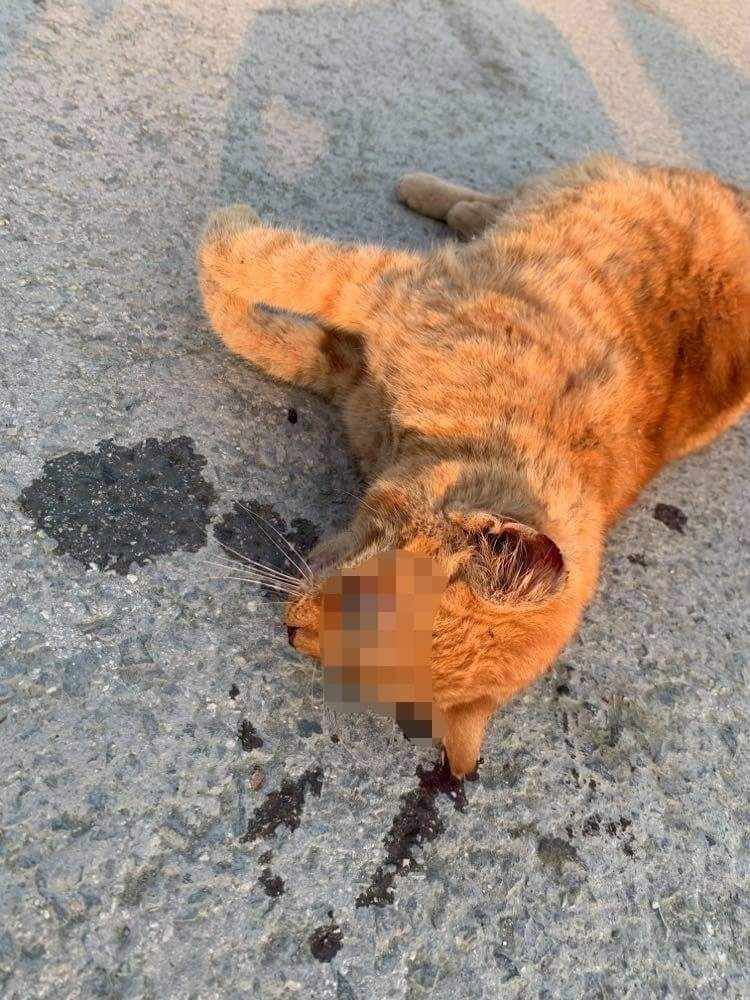 Ρε άχρηστοι των αχρήστων