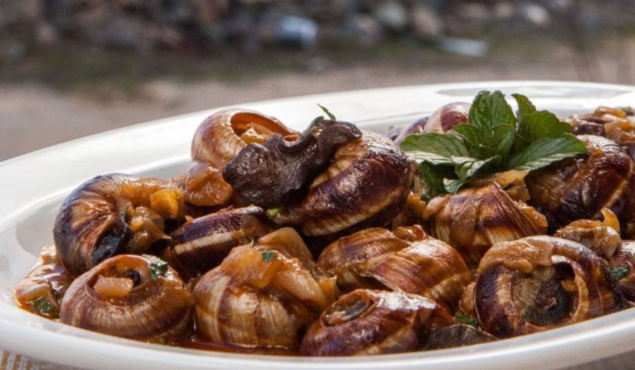 Έρχεται το 3ο Φεστιβάλ Καραόλου στην Τερσεφάνου