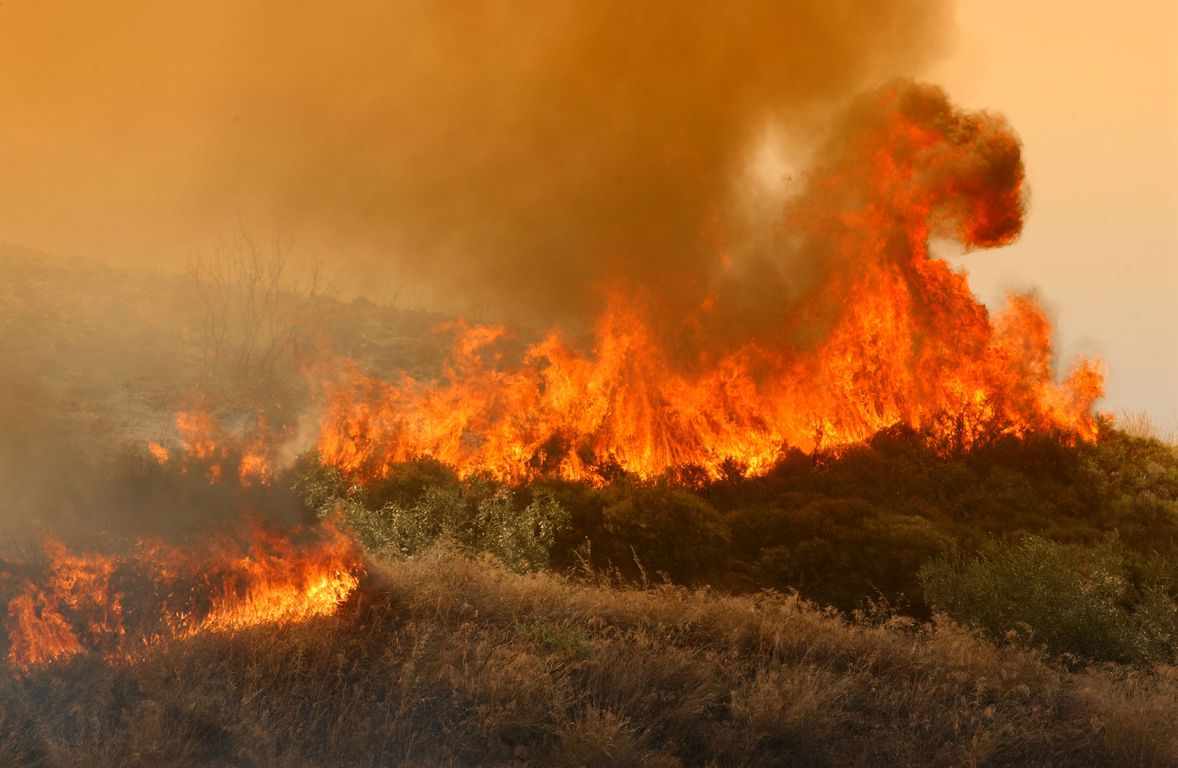 Νέα πυρκαγιά κοντά στην Φασούλα Λεμεσού