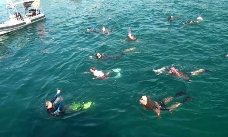 Φουρλάς, ΟΥΚάδες και φίλοι κολύμπησαν και φέτος στα παγωμένα νερά