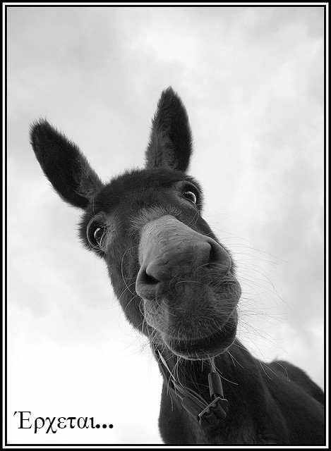 Πάσχα στο χωριό Ακάκι!