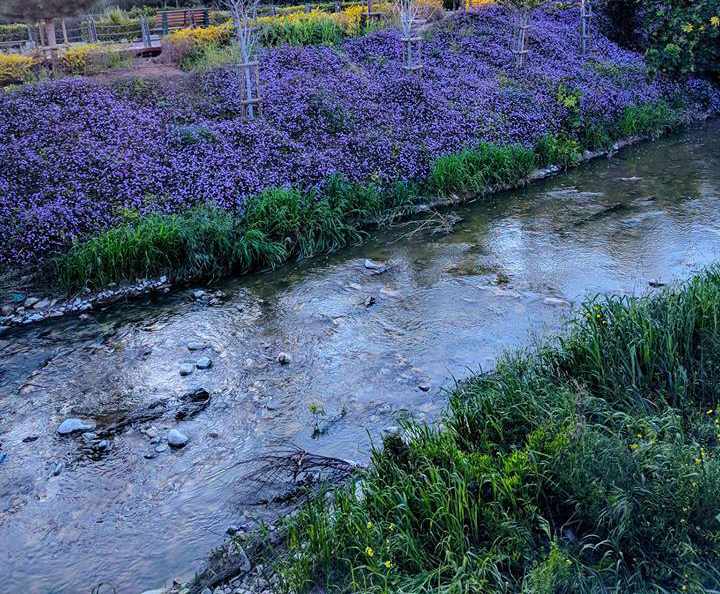 The Linear Park Along the Garyllis River becomes a paradise