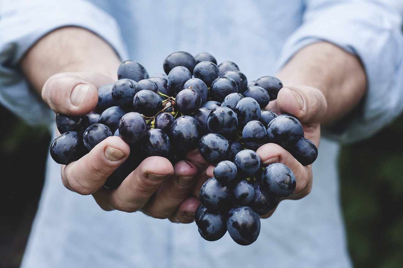 Ένα σύγχρονο πανηγύρι τρύγου έρχεται στον Πολύστυπο