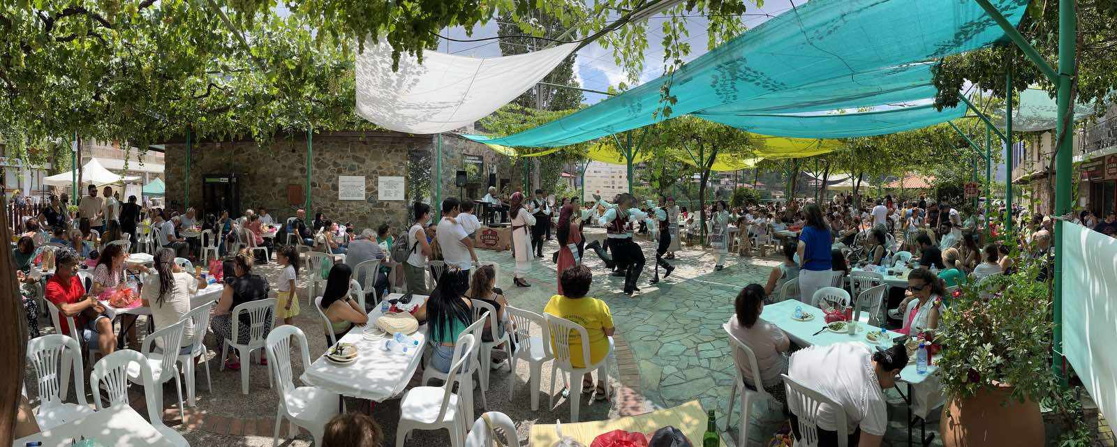 Η Πλατανιστάσα ετοιμάζεται για την καθιερωμένη «Γιορτή της Φουντουκιάς»!