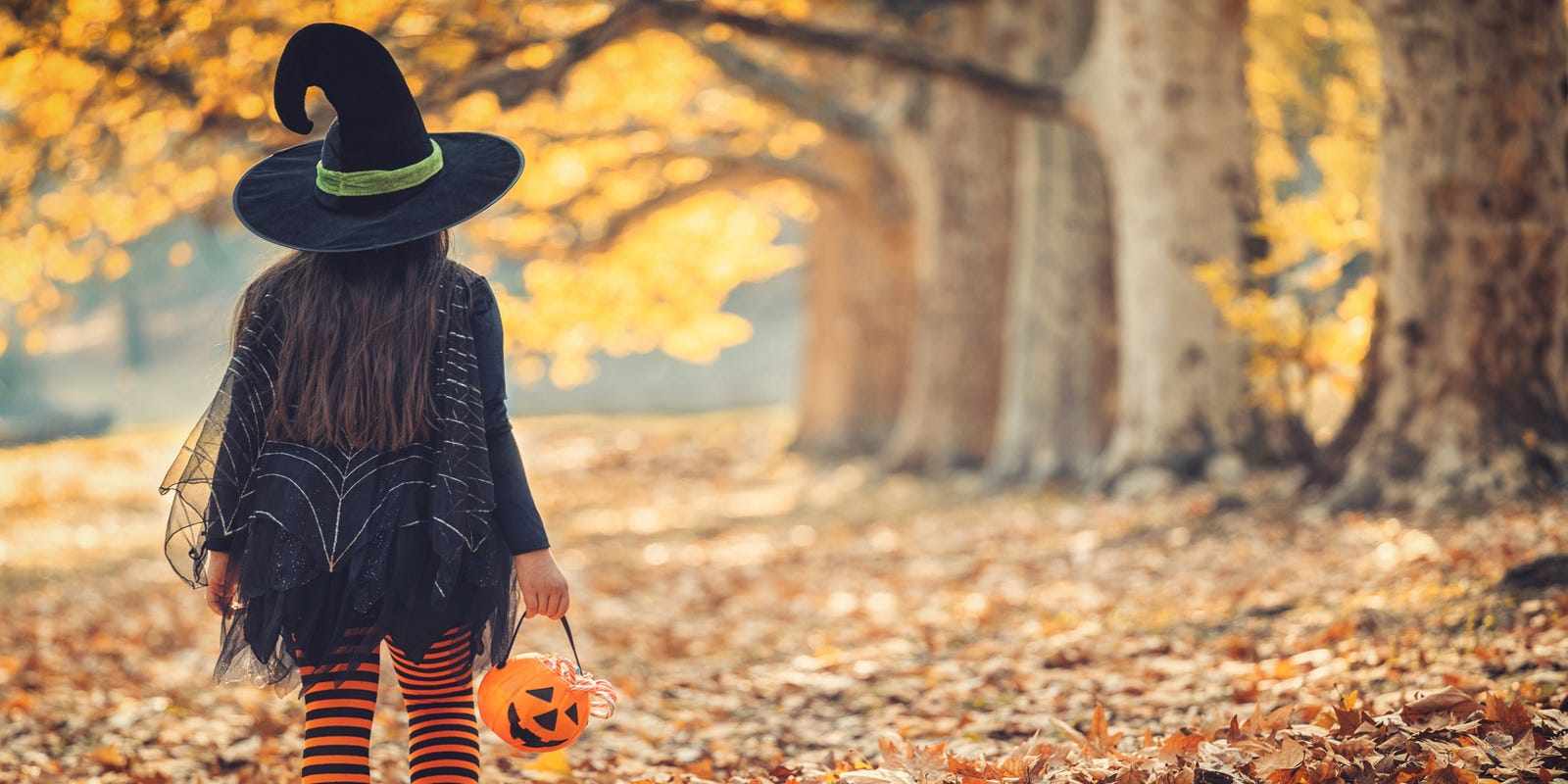 A 4-day Autumn - Halloween Festival for young and old people