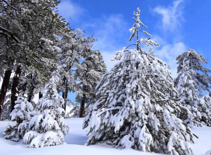 Μπορείς να πας στο χιονισμένο Τρόοδος