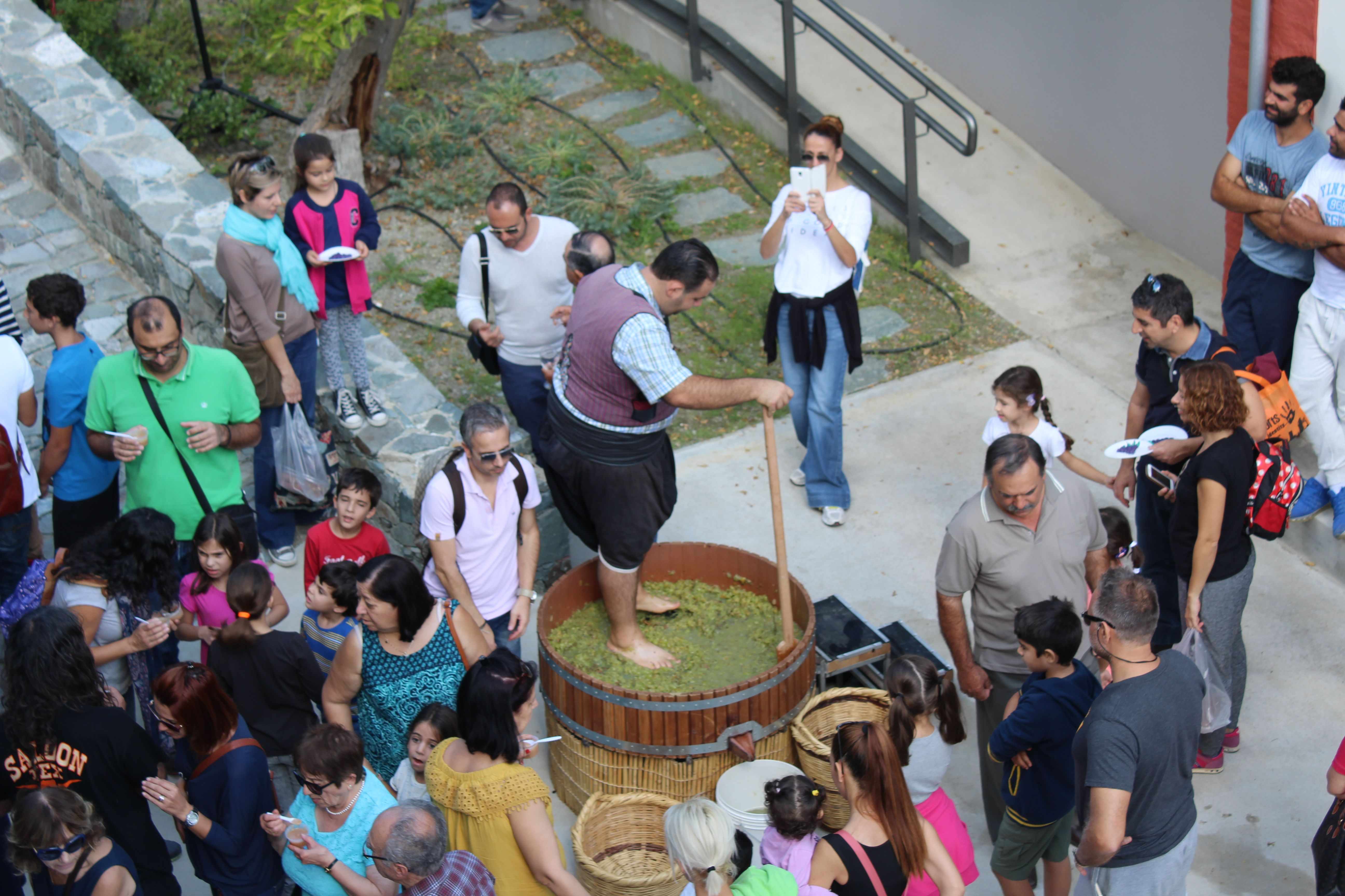 Feast of the Harvest