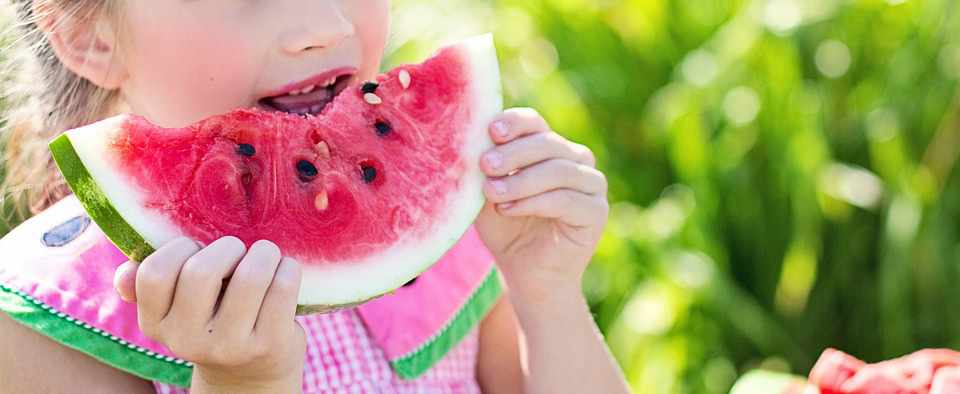 Διατροφική αξία του καρπουζιού