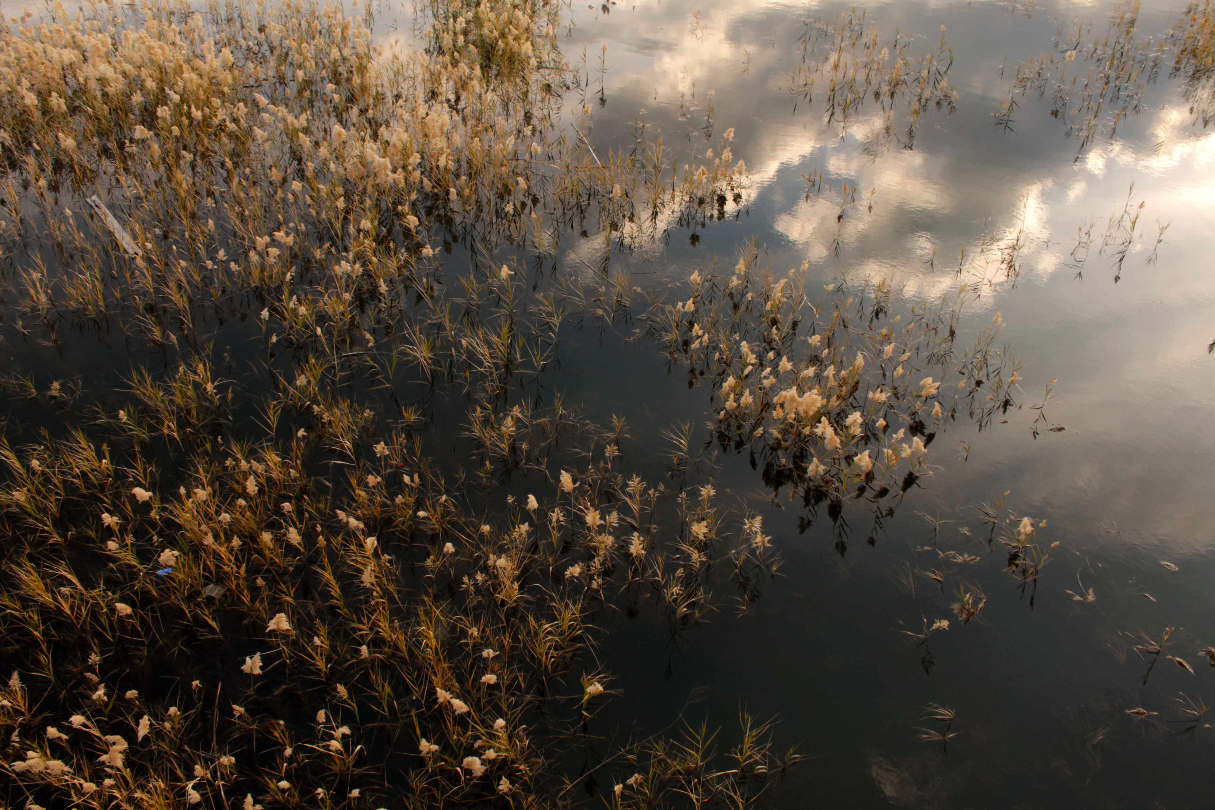 An Oasis In Klirou