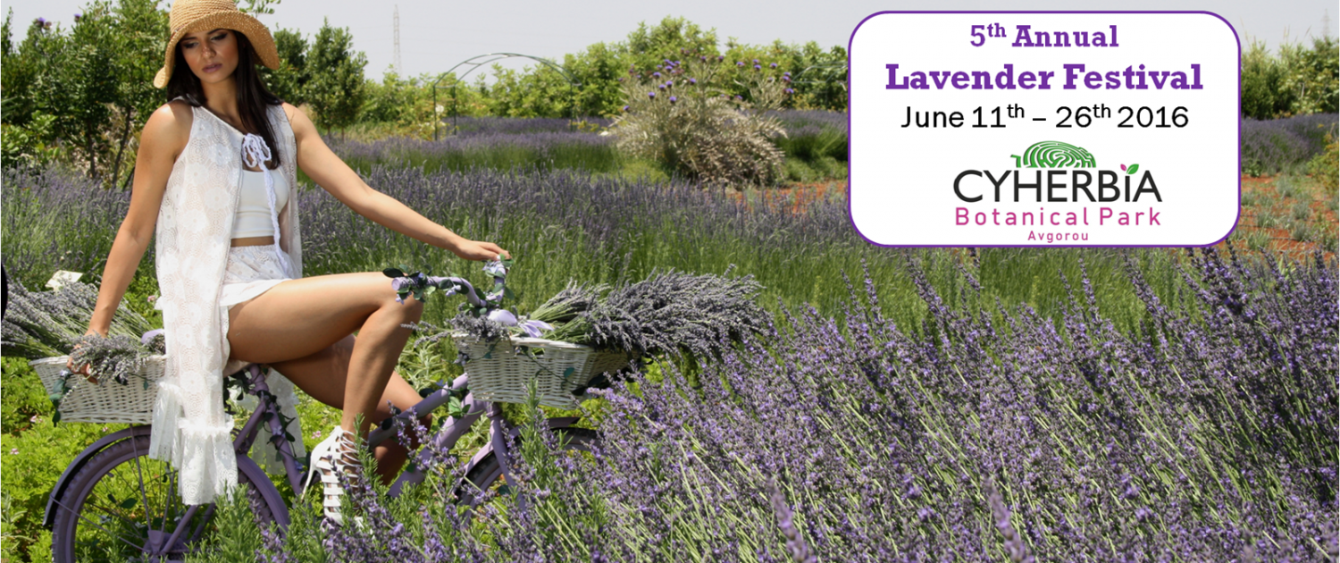 Lavender Festival 2016