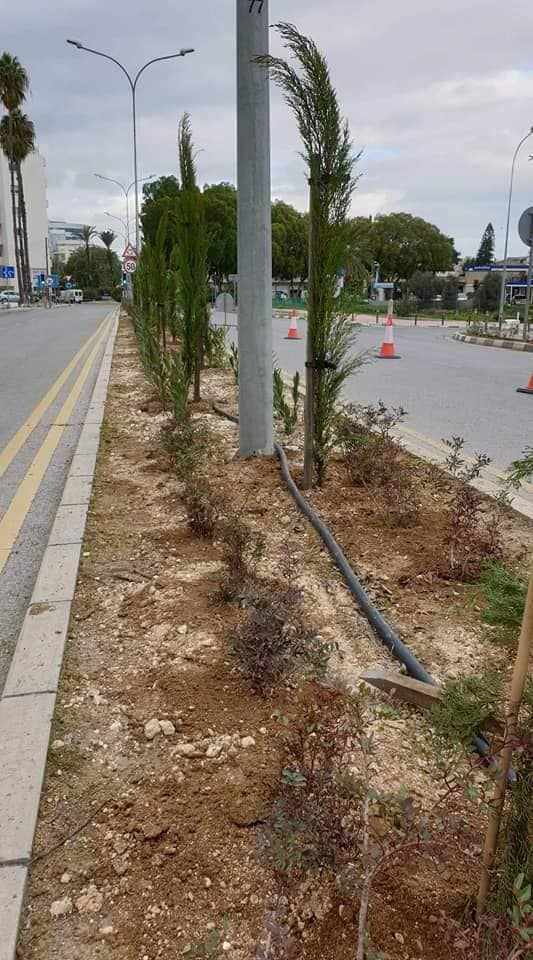 Λευκωσία: Συνεχίζεται η φύτευση νησίδων πρασίνου