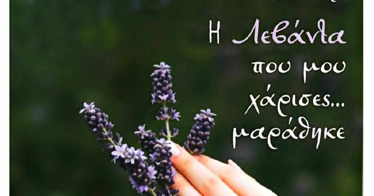Νικόλ Καστόρα