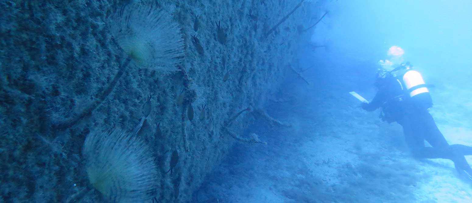 Liberty Shipwreck in Protaras