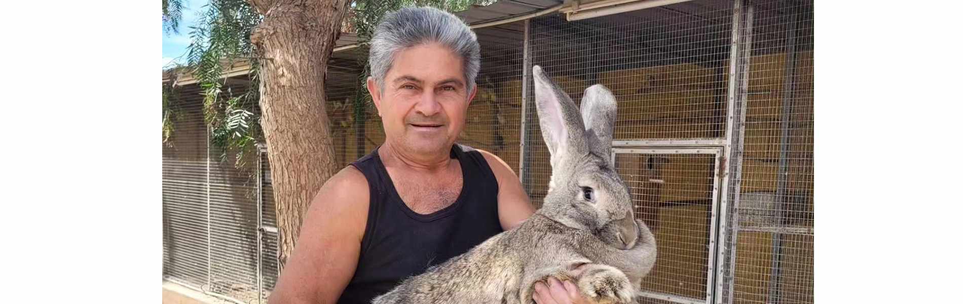 Βίντεο: Τι γίνεται με το Melios Zoo