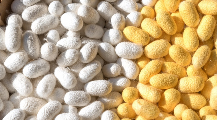 Το Φεστιβάλ Μεταξιού Καλαβασού επιστρέφει