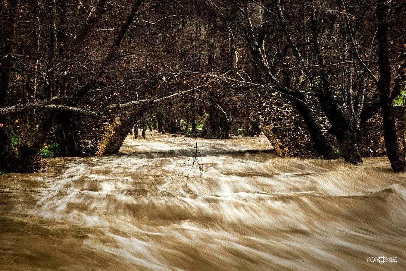 Γεφύρι του Τζιελεφού: Υπερχείλισε (εκπληκτικά πλάνα)