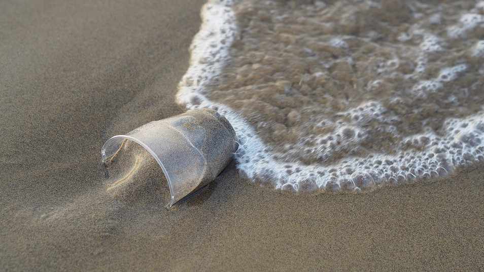 Οργανισμοί της Κύπρου ενώνονται για την πρόληψη χρήσης πλαστικών
