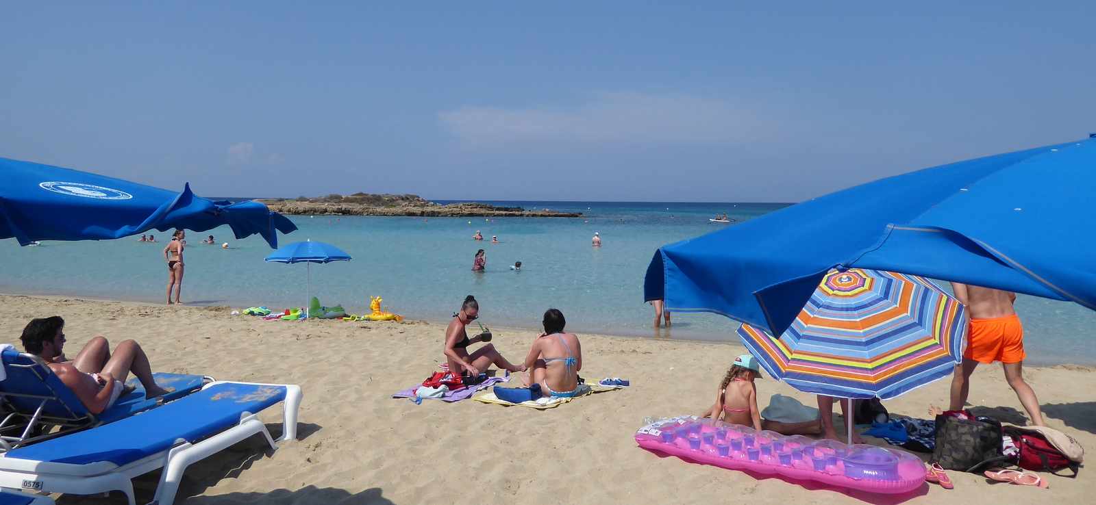 The Magical Pull of Fig Tree Bay