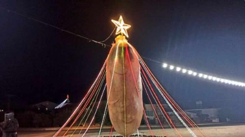Ο κοινοτάρχης Ξυλοφάγου έστειλε 20 κιλά πατάτες στη Ναταλία Γερμανού