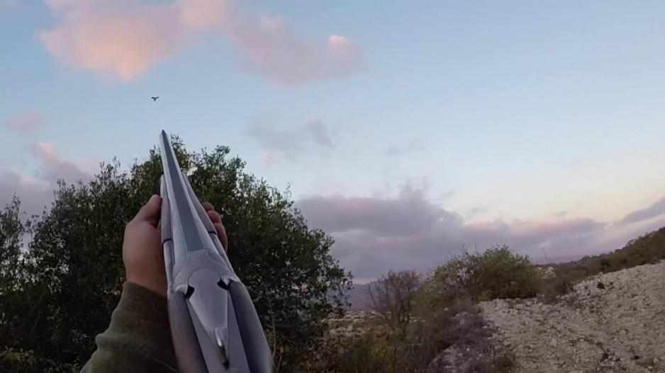 Κυνηγοί πυροβόλησαν δύο εμβληματικά αρπακτικά πουλιά