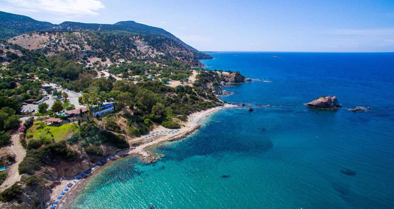 Φεστιβάλ Αβοκάντο