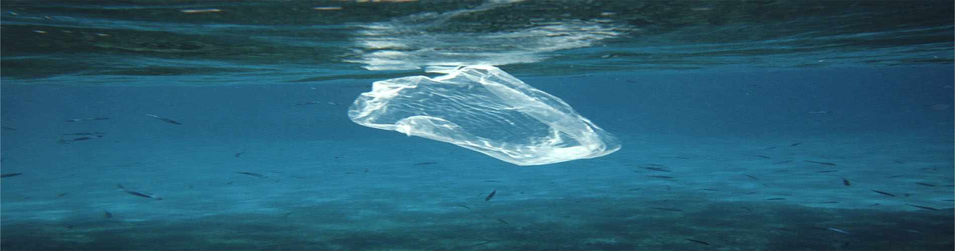 CSTI: 12 χρόνια παρουσίας  στην τουριστική βιομηχανία της Κύπρου  