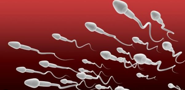 Επιστήμονες ανακάλυψαν ότι… το σπέρμα κάνει καλό στην υγεία