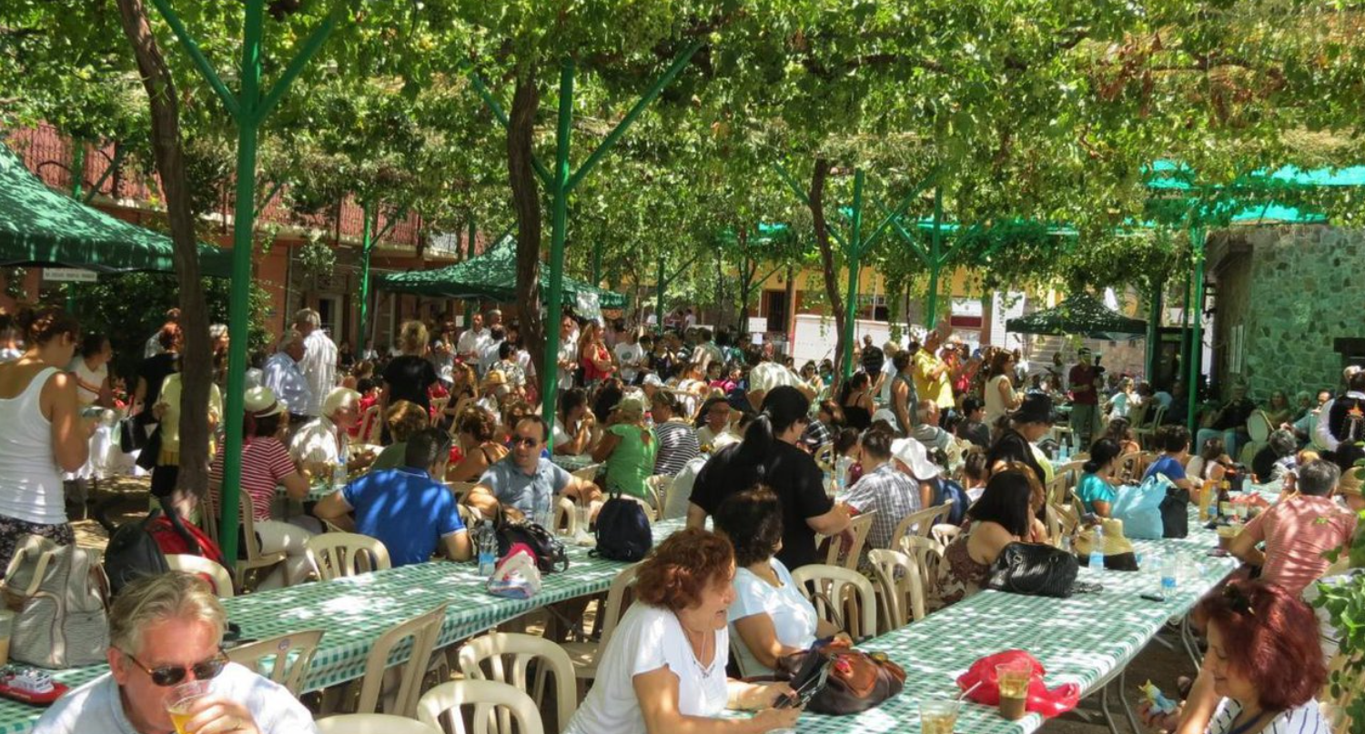 Η Πλατανιστάσα στήνει μεγάλη γιορτή κρασιού
