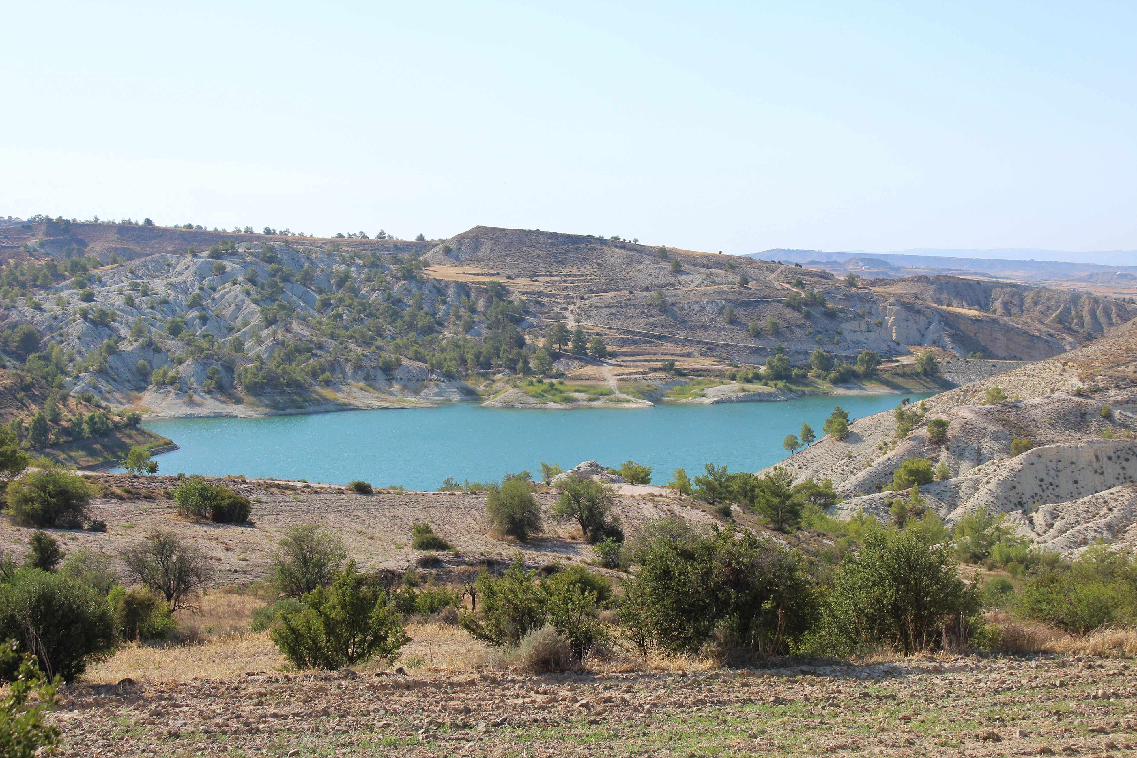 Tamasos Dam