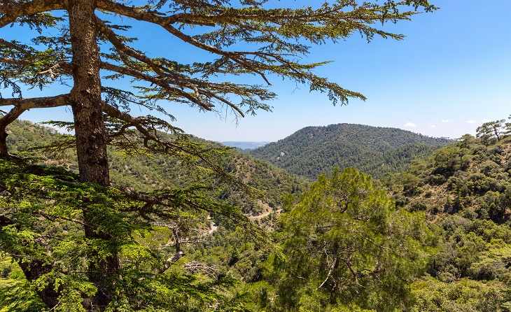 Επίσκεψη στο Δασικό Μουσείο – Διάλεξη – Πεζοπορία