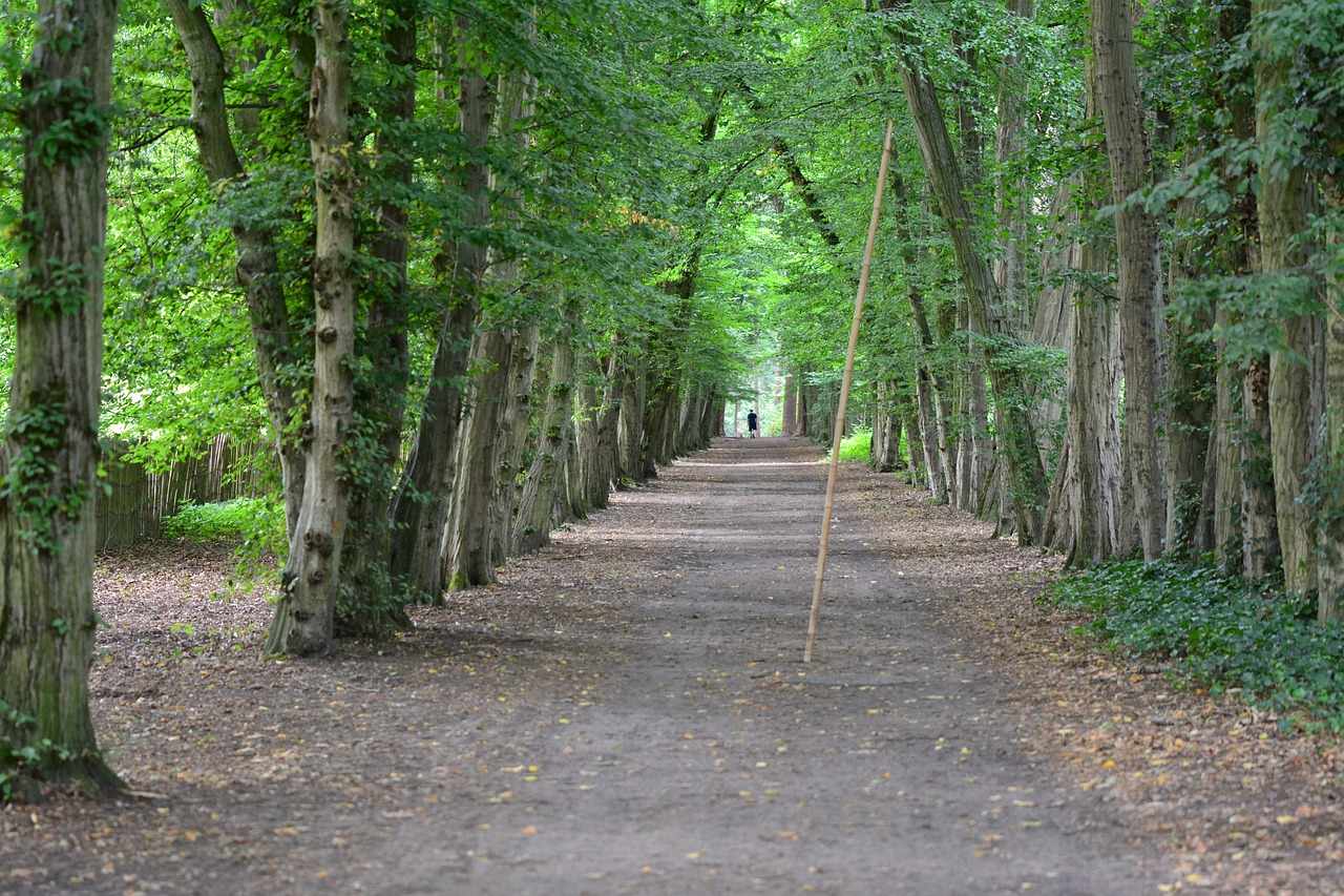 Bicycle routes - Red Soil Villages, Limassol and Troodos