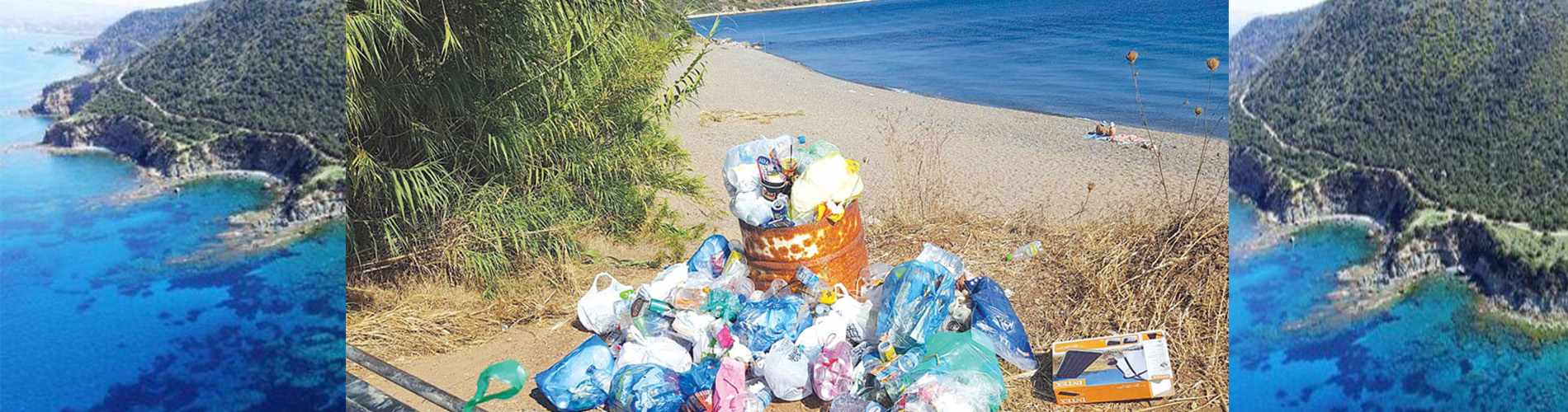 Νοιαζόμαστε! Το Πράσινο Έργο ⁓ Ακάμας