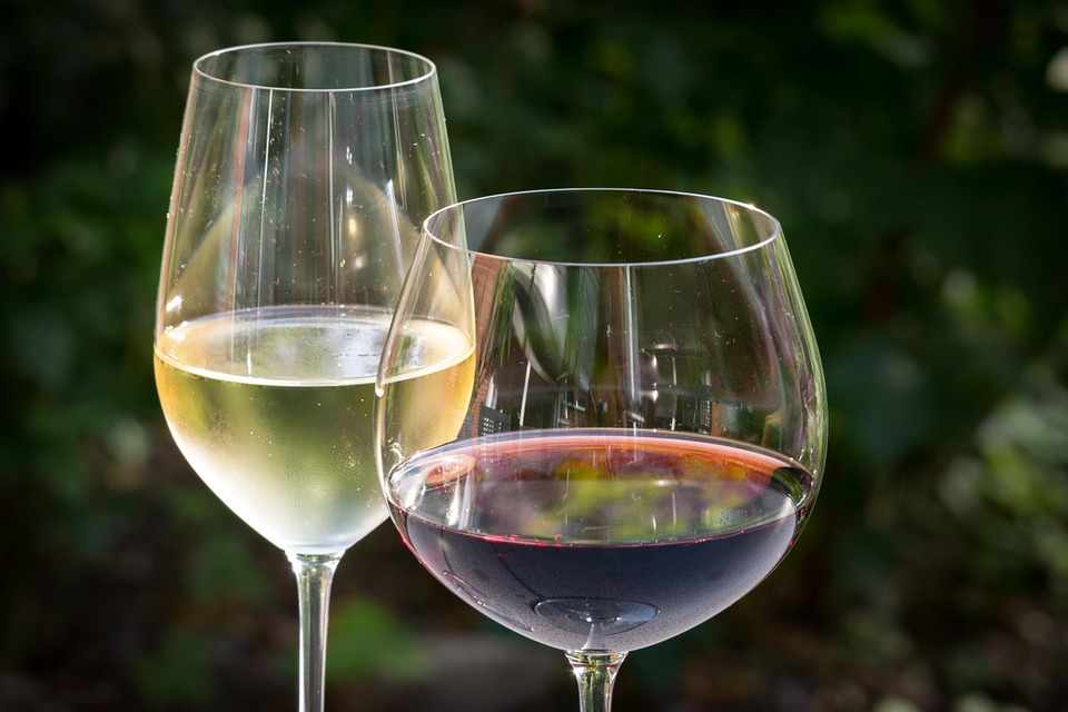 Φεστιβάλ ΚΡΑΣΙΟΥ στην Πάφο “Pafos Wine Festival”