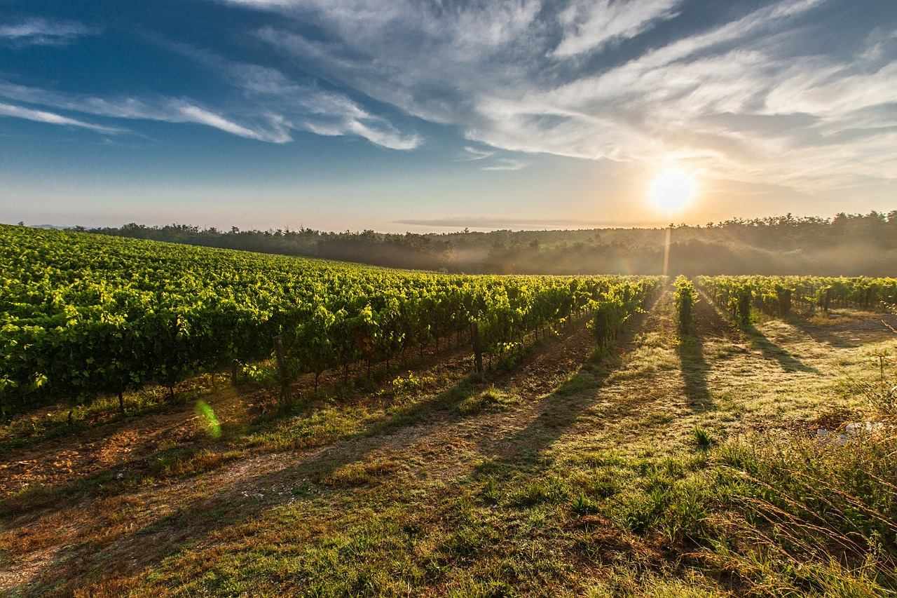 Wine Villages in Cyprus