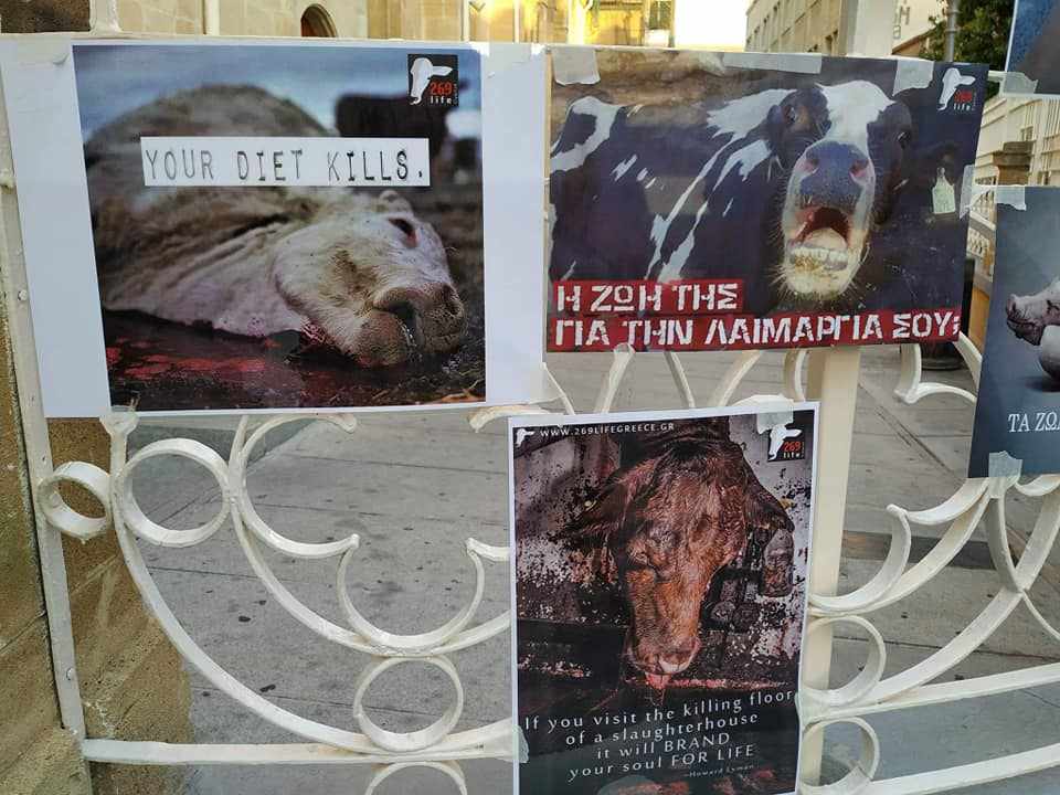 Worldwide Fur Free Friday 23rd, November 2018, Ledras str.  8pm – 10pm 