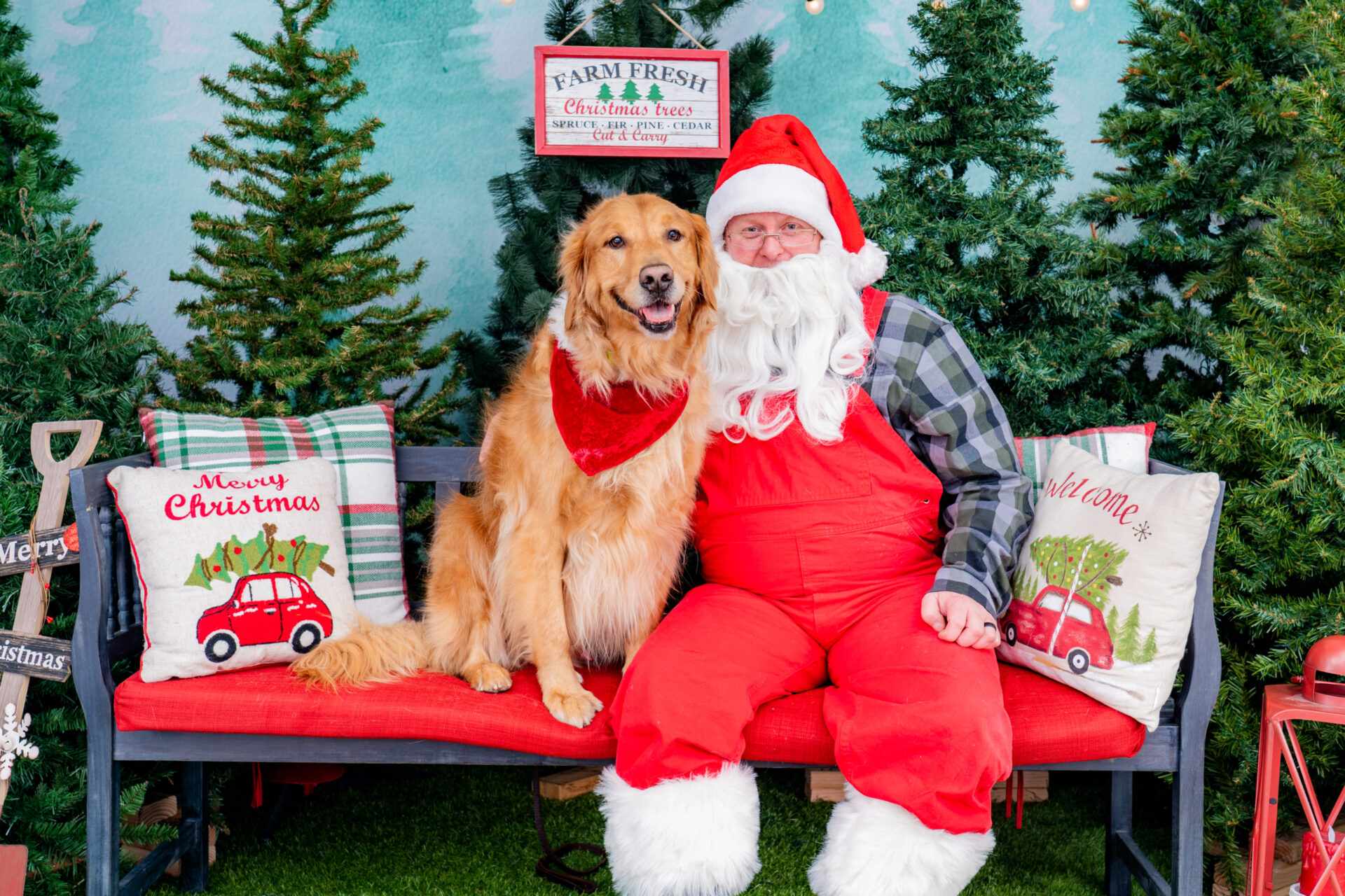 Xmas Santa Paws: Τα Χριστούγεννα συναντούν τα τετράποδα!