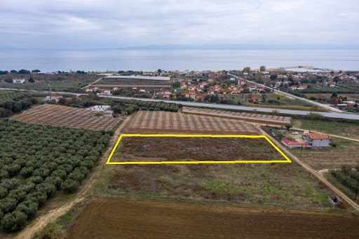 Αναζητούν συνεχώς αγροτεμάχια οι Κύπριοι