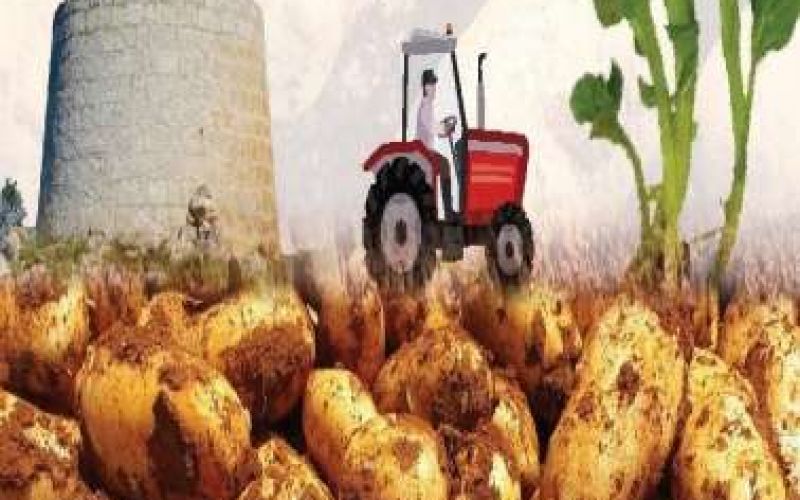 Γεωργοκτηνοτροφική Έκθεση στο πλαίσιο του Φεστιβάλ Πατάτας Ξυλοφάγου