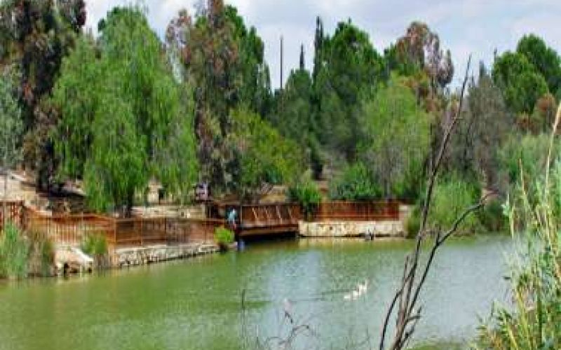 Δεκάδες νεκρά ψάρια στη λίμνη του Πάρκου Αθαλάσσας